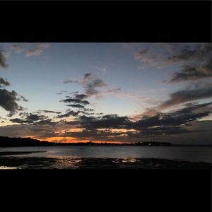 Meet your Posher, Matilda